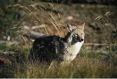 任天堂Switch黄金周促销活动开启 多款游戏最大75%优惠